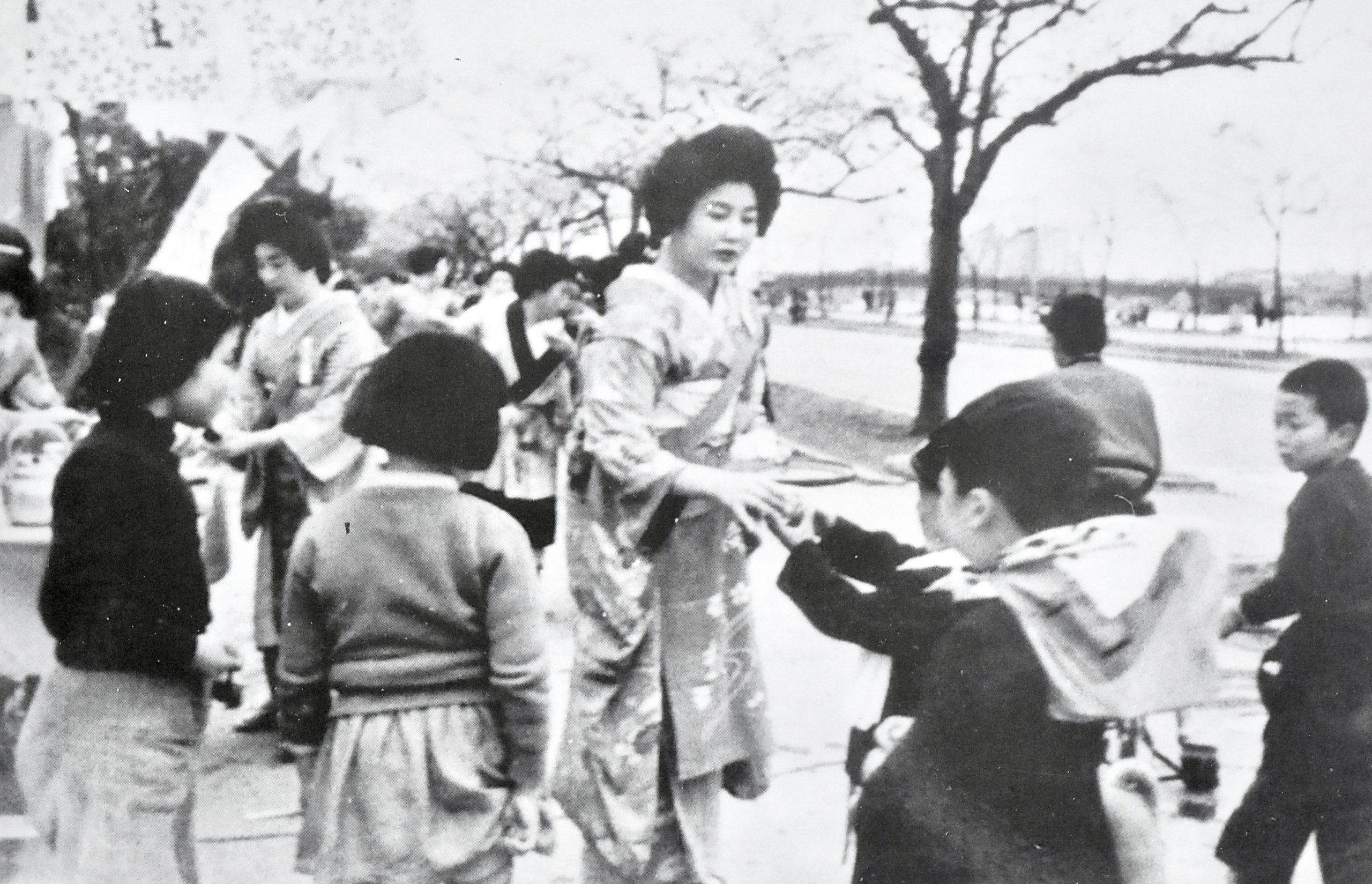 Các Geisha ở khu vực Mukōjima đang phục vụ trà cho những người đi ngắm hoa vào năm 1954.