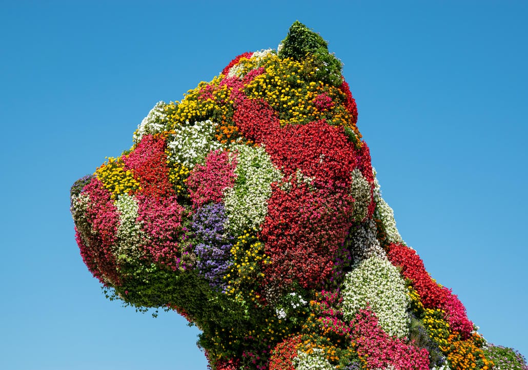 Đầu của tác phẩm điêu khắc Puppy của Jeff Koons