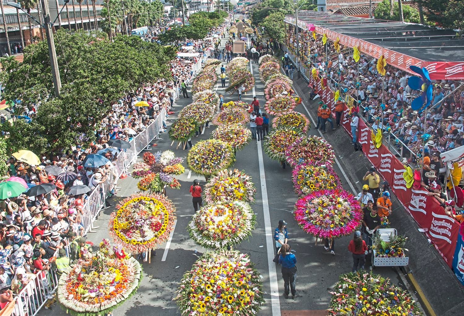 Lễ hội hoa sephra ở - Sức mạnh của hoa Medellin tôn vinh lịch sử hoa của thành phố tại Feria de la