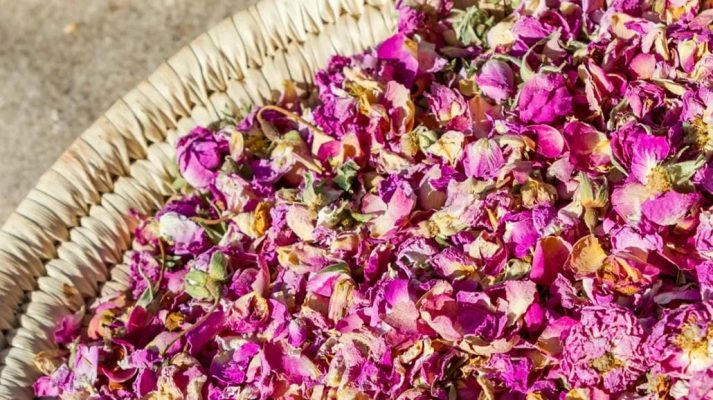 top 11 loài hoa ăn được có lợi ích tiềm năng cho sức khỏe